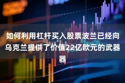 如何利用杠杆买入股票波兰已经向乌克兰提供了价值22亿欧元的武器