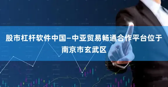 股市杠杆软件中国—中亚贸易畅通合作平台位于南京市玄武区