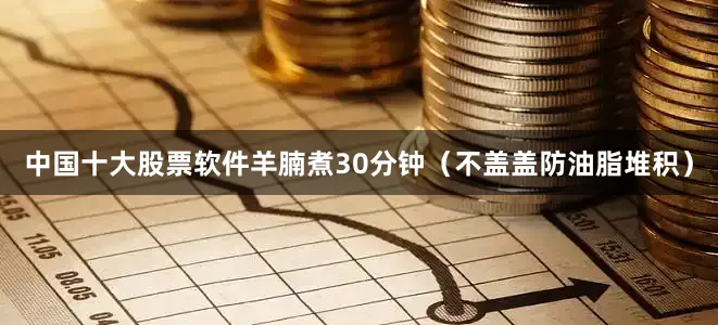中国十大股票软件羊腩煮30分钟（不盖盖防油脂堆积）